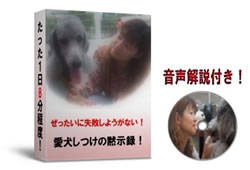 イメージ写真1