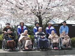 写真1